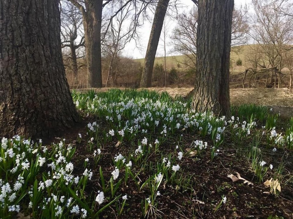 Lawrence Vacations - Circle S Ranch - Property Image 23