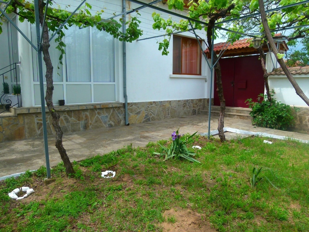 Photo 19