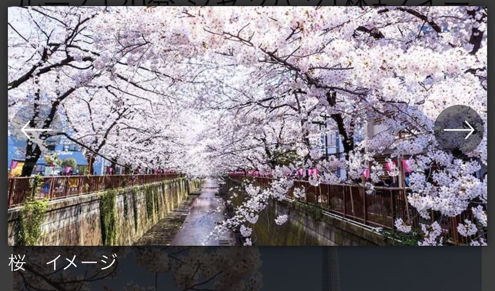 May Kameido