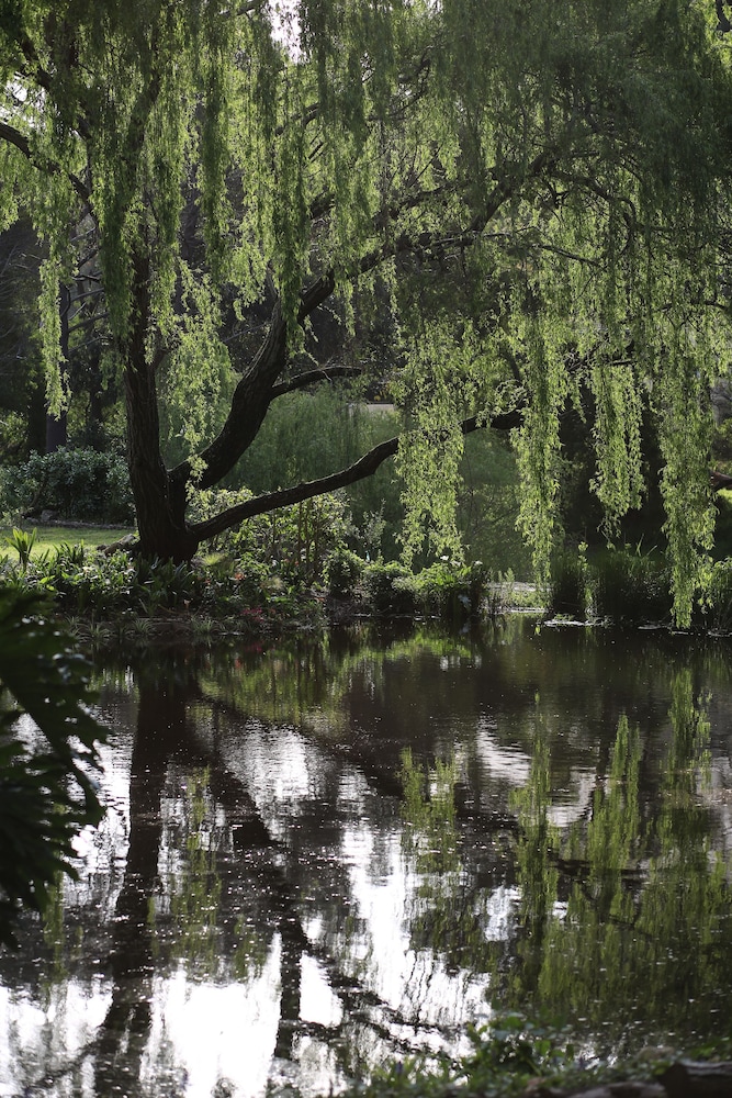 Waterland