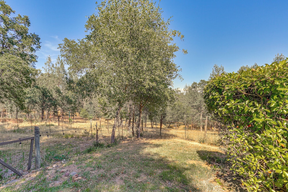 8-acre Retreat: Pool & Stunning Mt Lassen View!