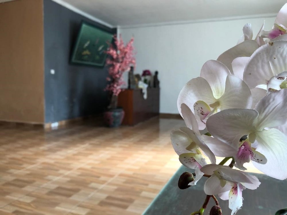 Arta Garden Guest House & Hostel view 3