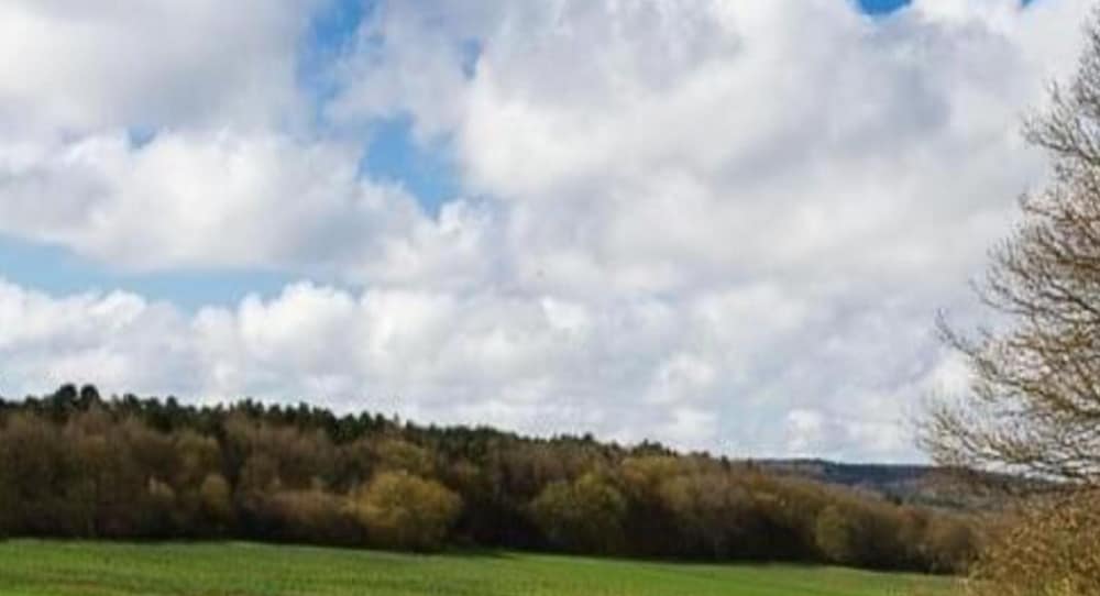 Woodland Lodge Retreat in the Ardennes