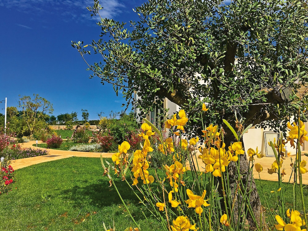 Tenuta Vigna Corallo