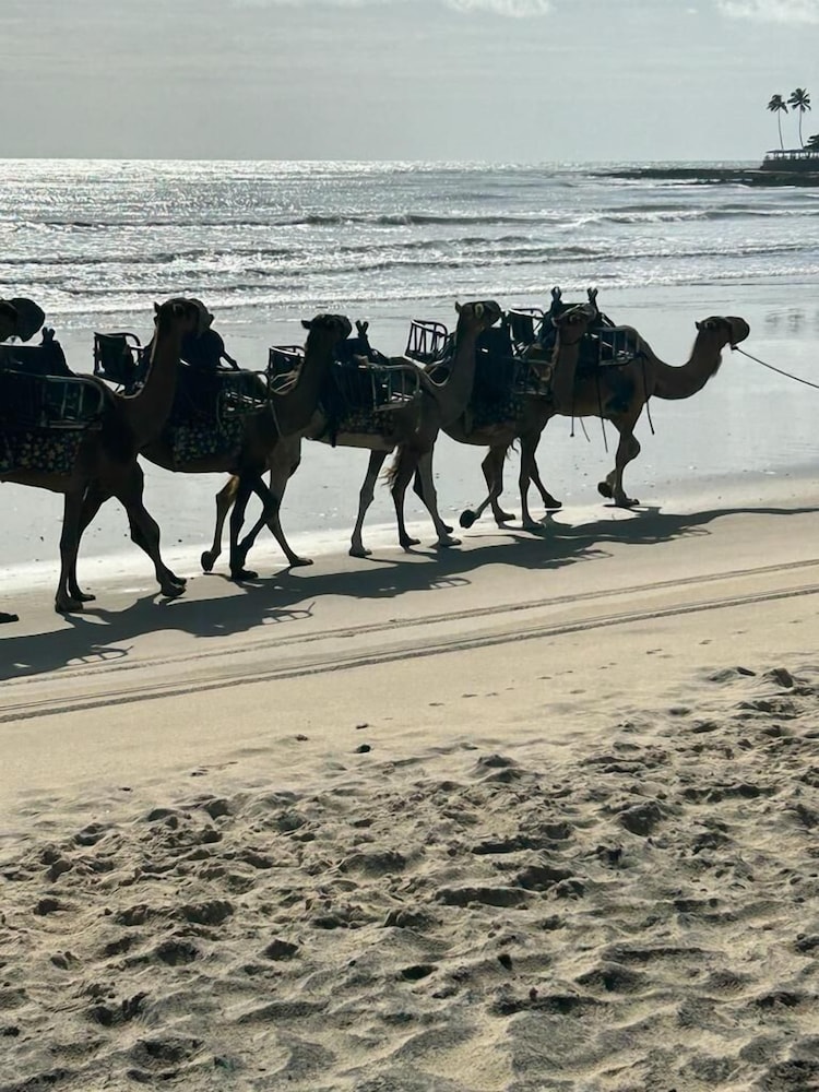 other