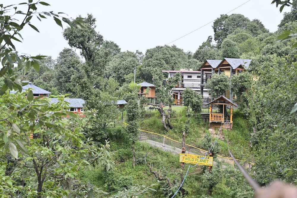 The Wild Planet - Treehouses & Cottages