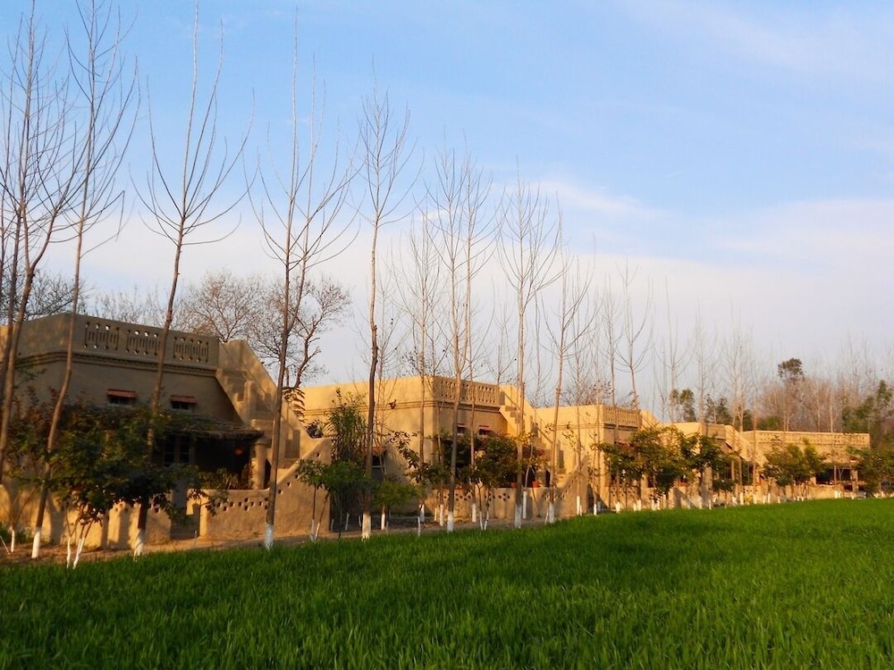 Punjab village farm near Amritsar