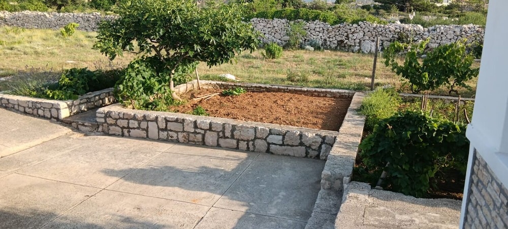 Photo 28