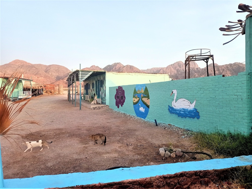 Sahara Beach Camp Ras Shetan