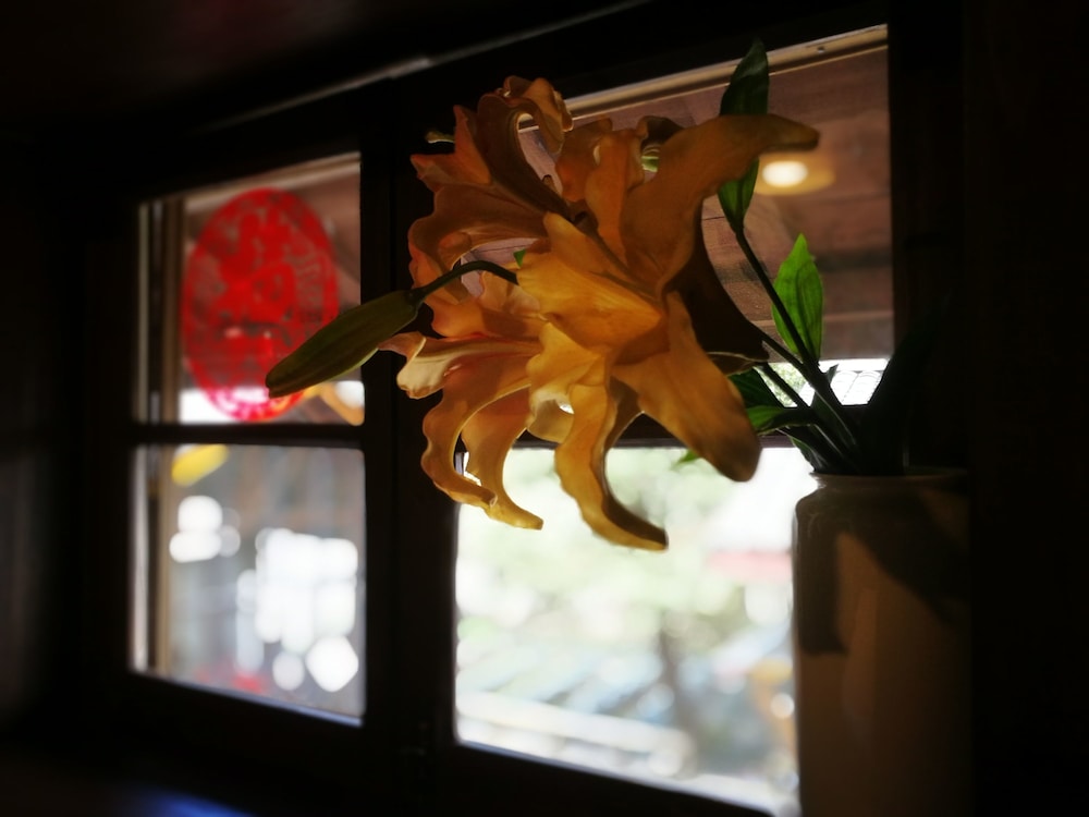 Songyang Utea Guesthouse
