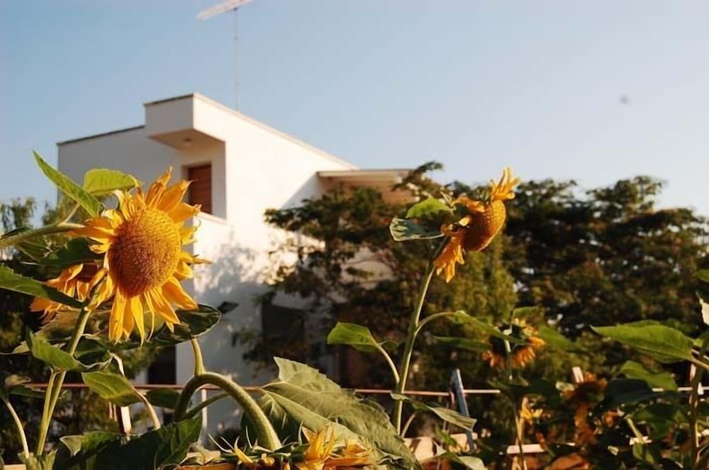 B&B casakarina