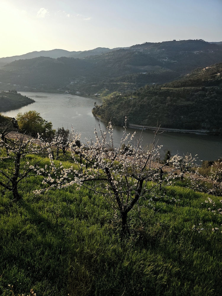 Quinta D'Joanes Douro