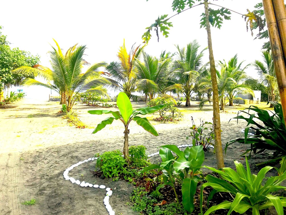 Seaside Garden Lodge Mompiche