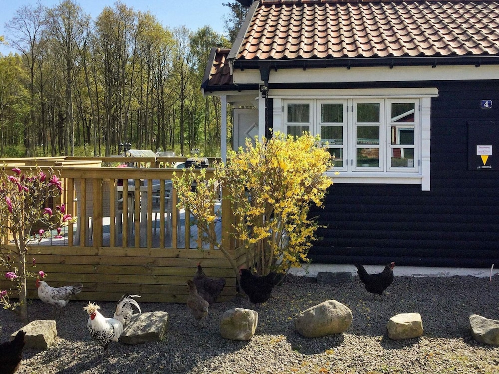 Photo 16