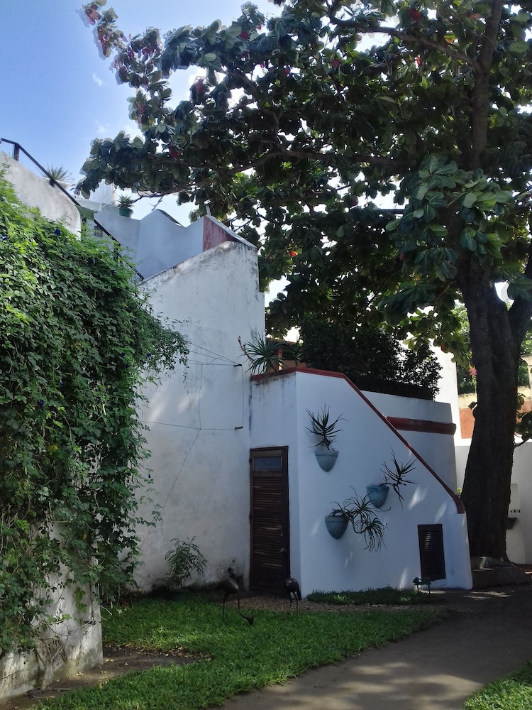 Jardim dos Aloés - Unique B&B, photo 99