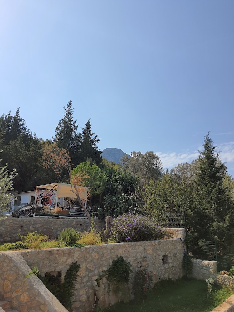 Artolive Datca