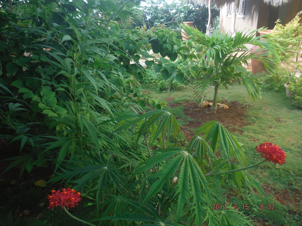 Kudehya Guesthouse