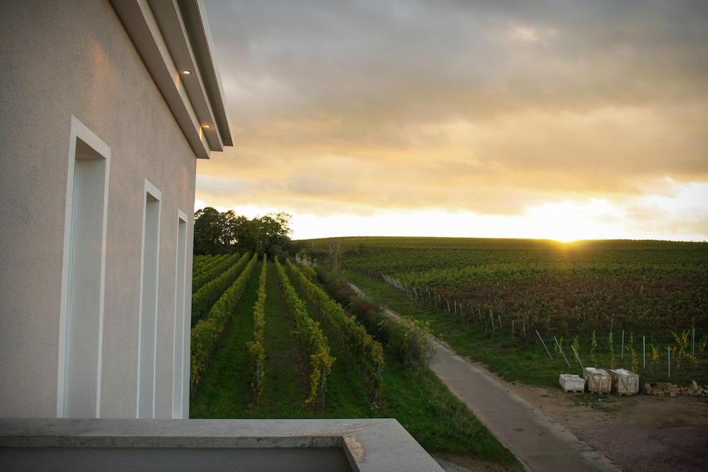 Trautwein - Das Winzerhotel am La Roche