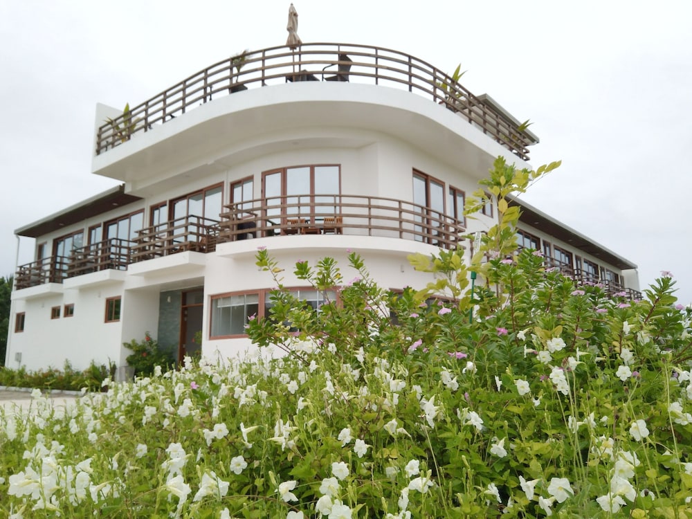 Olive Goidhoo