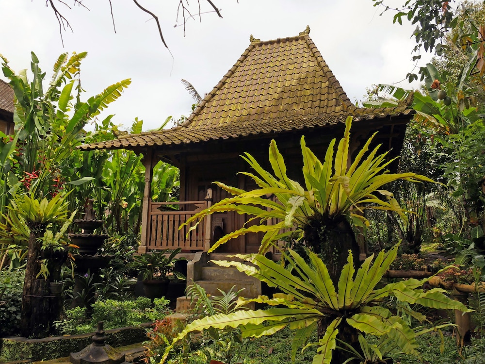 Bali Mountain Retreat