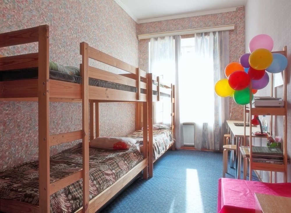 Tolstoy Hostel view 5