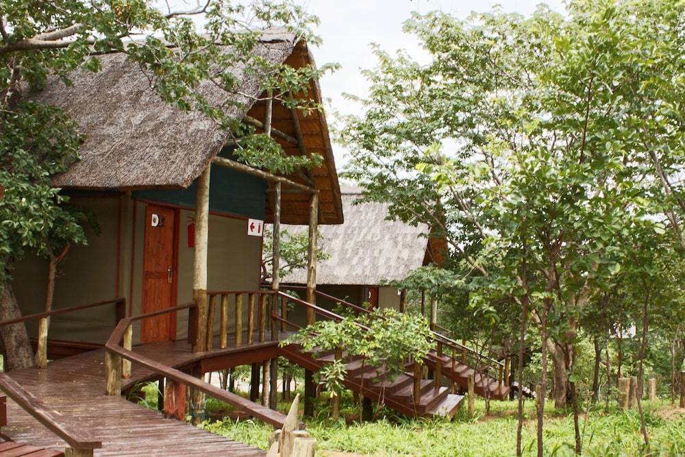 Lion Roars Lodge