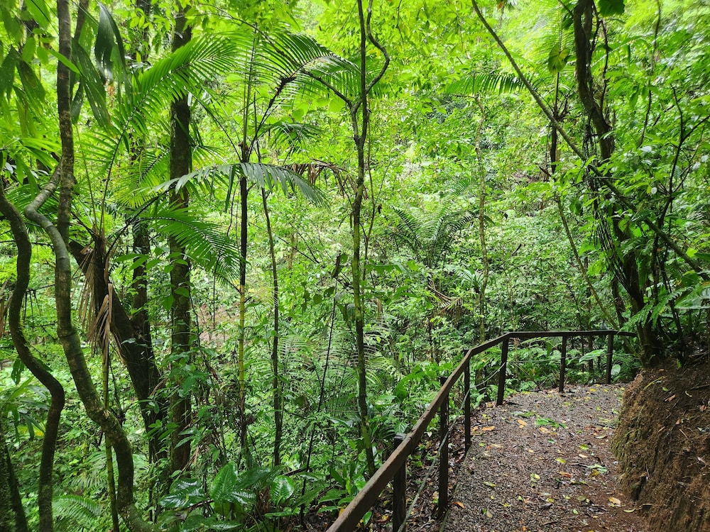 Cabañas Caeli, El Colibri, NEW La Fortuna Rainforest Cabin w Panoramic Views