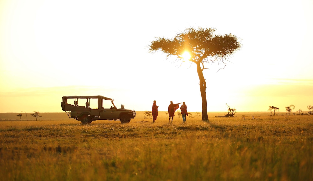 Basecamp Eagle View