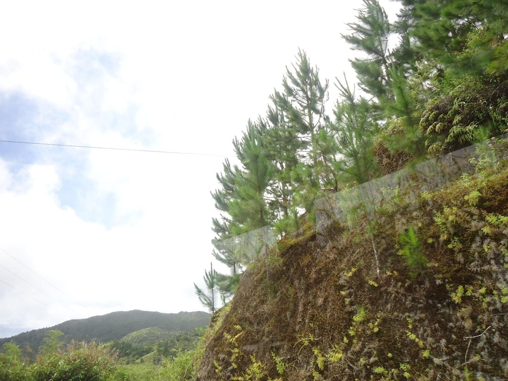 Hotel Krishna