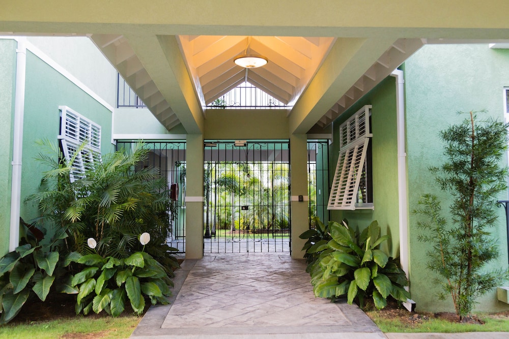 New Kingston Central Guest Apartment