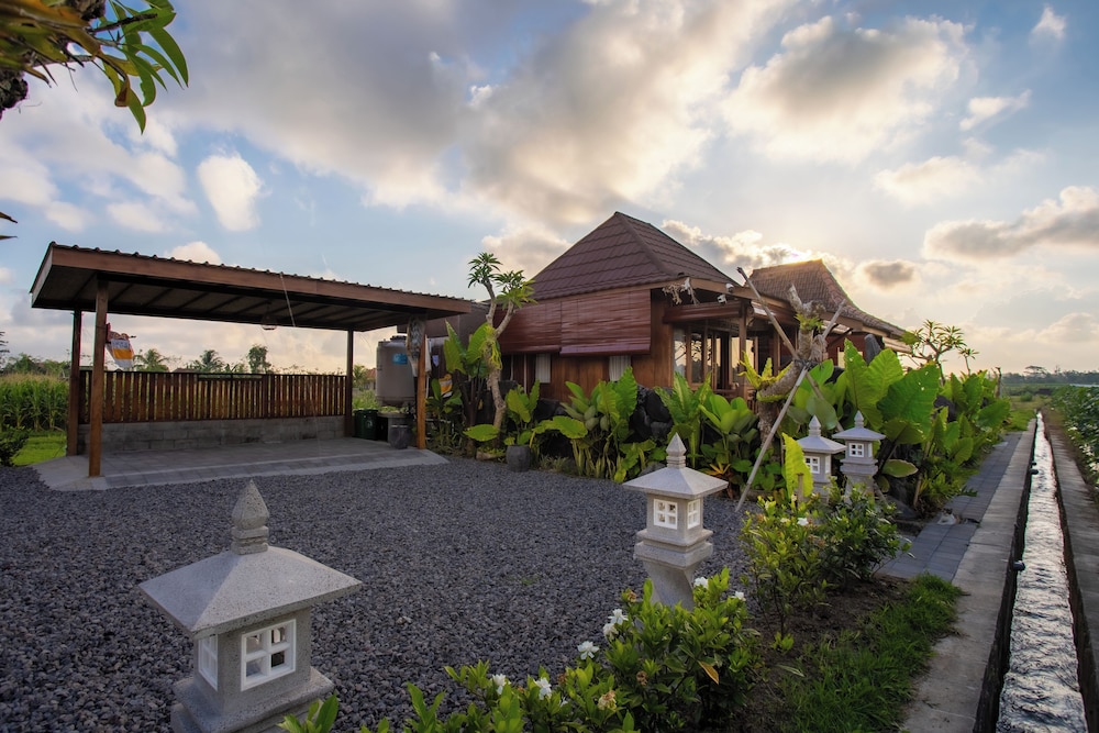 Sunset Harvest Bali