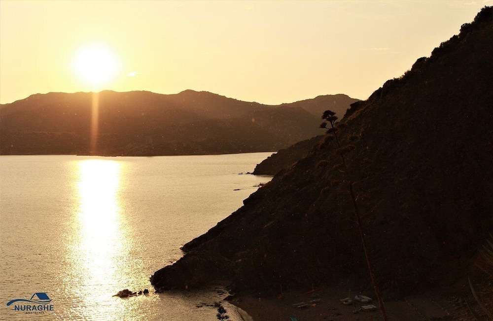 Photo 100