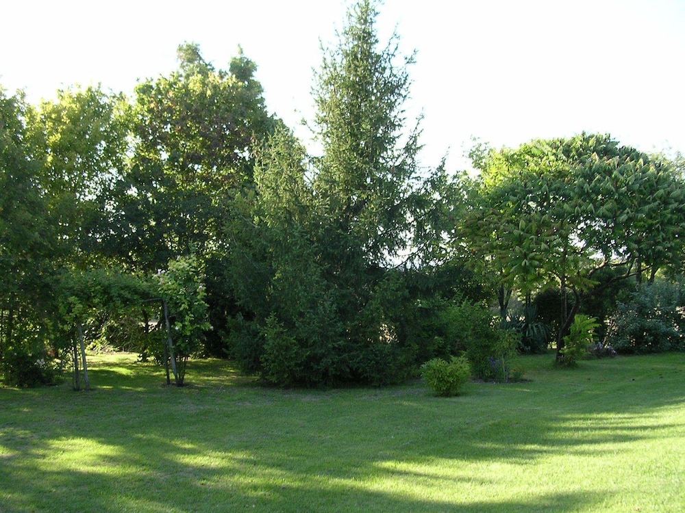 Photo 42