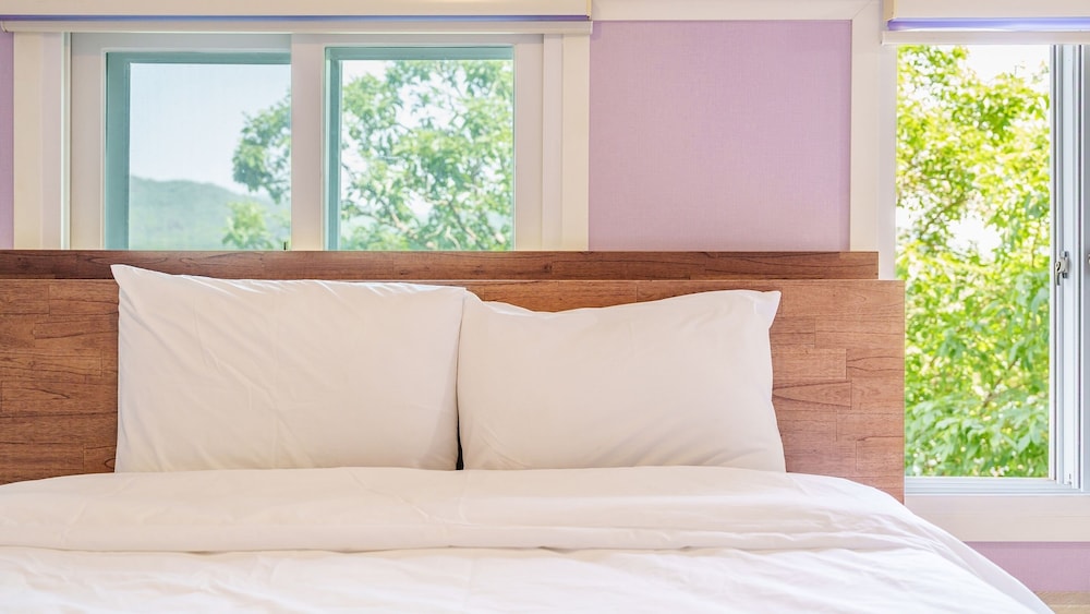 Gapyeong Nami Island Pet-friendly Spa Pe