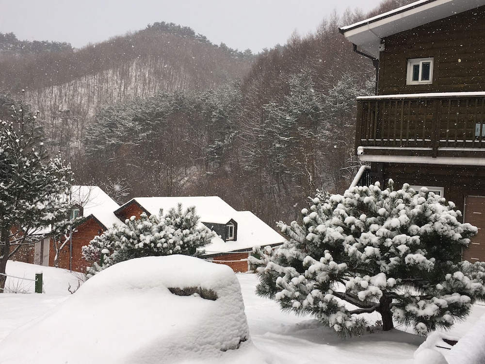 Tirol Pension