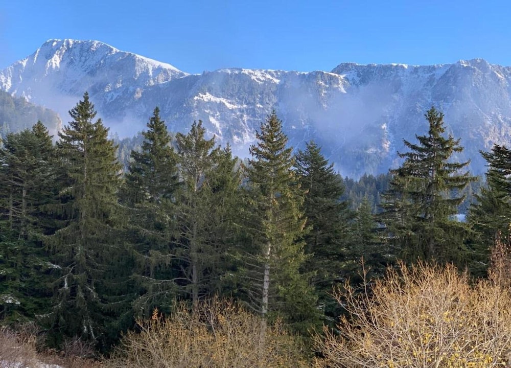 Mountain Hideaway for 4 Guests