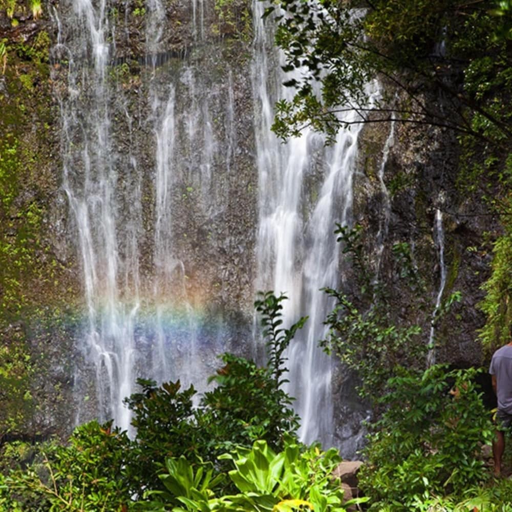 Photo 32