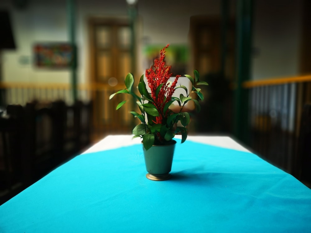 Hotel Geranios - Property Image 6