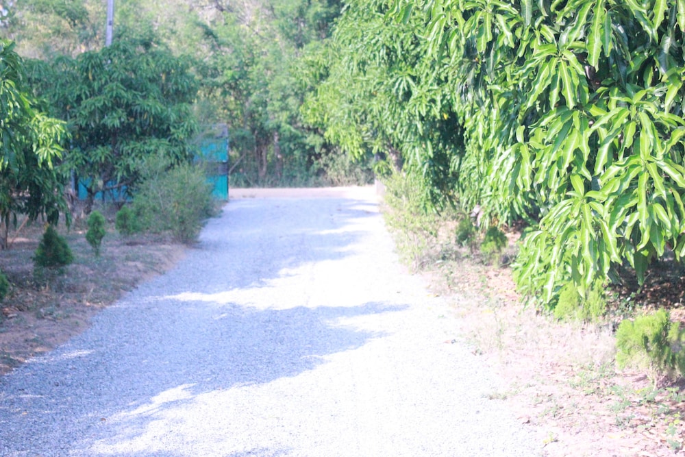 Photo 6