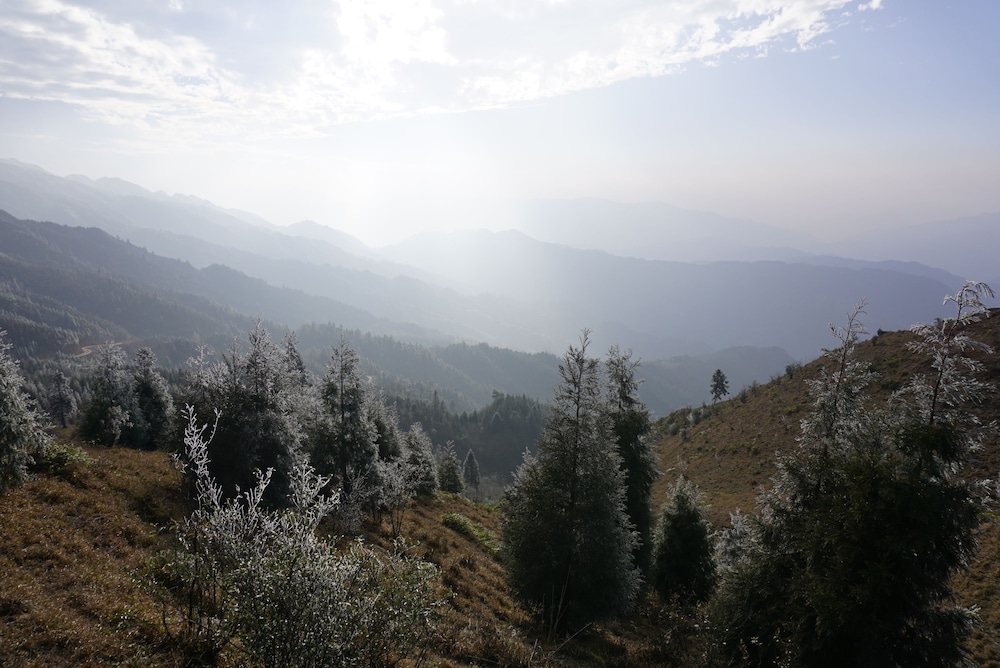 Longji Rice Terraces Hostel