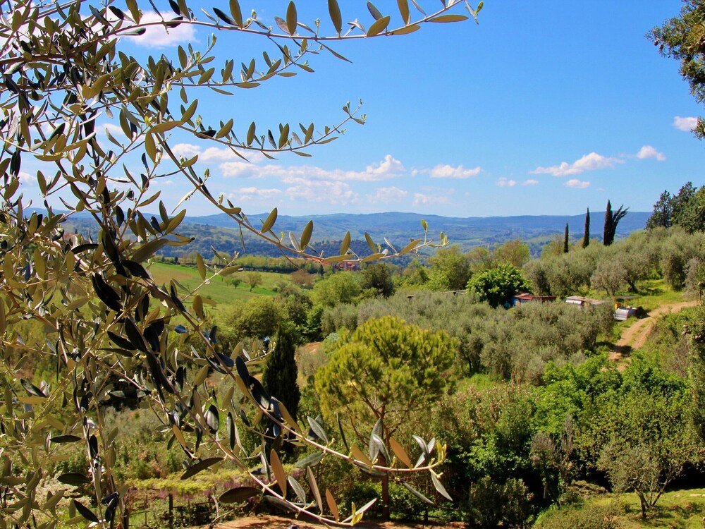 Tuscan Landscape Farmhouse view 4