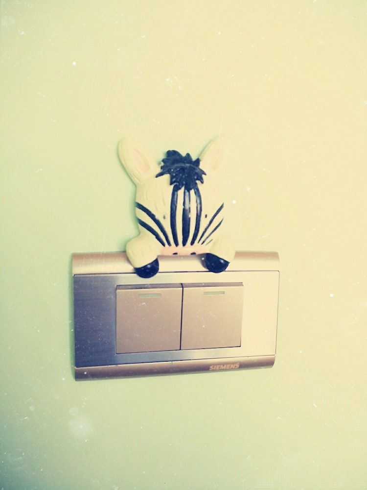 Fly in Sunnyday