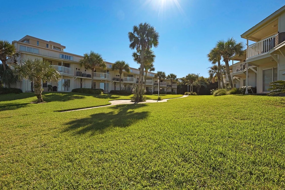 Sand Dollar W-101