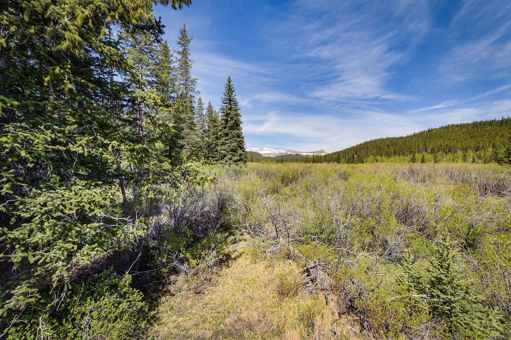 Dog-friendly Fairplay Vacation Rental With Deck! view 4