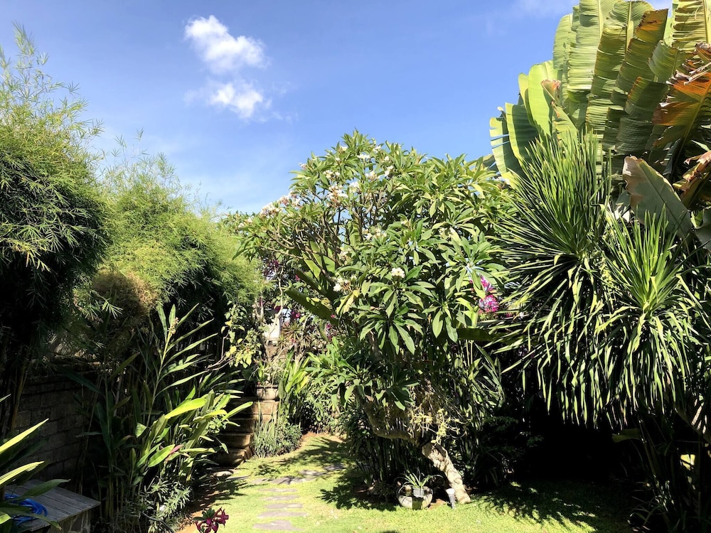 Lush 1 BR Private Pool Villa Inseminyak