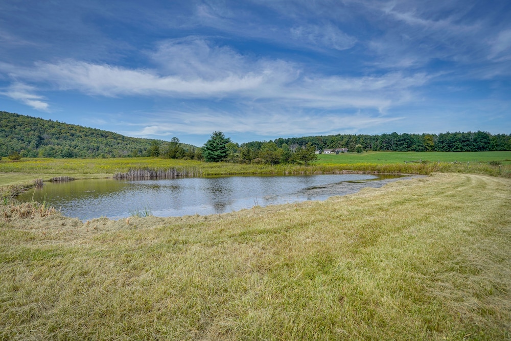 Cozy Catskills Retreat Near Mine Kill State Park! view 4