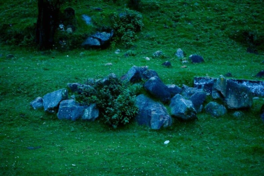 Photo 13