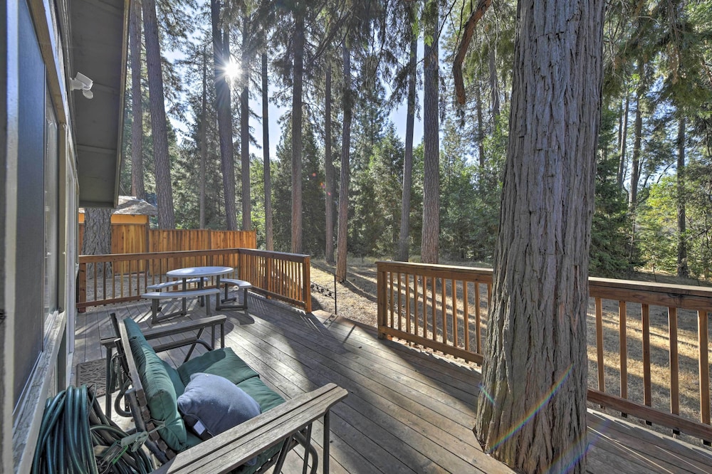 Cabin in Nat'l Forest 35 Min to Boreal Resort - Property Image 5