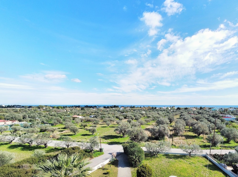 Villa Olive Grove view 4