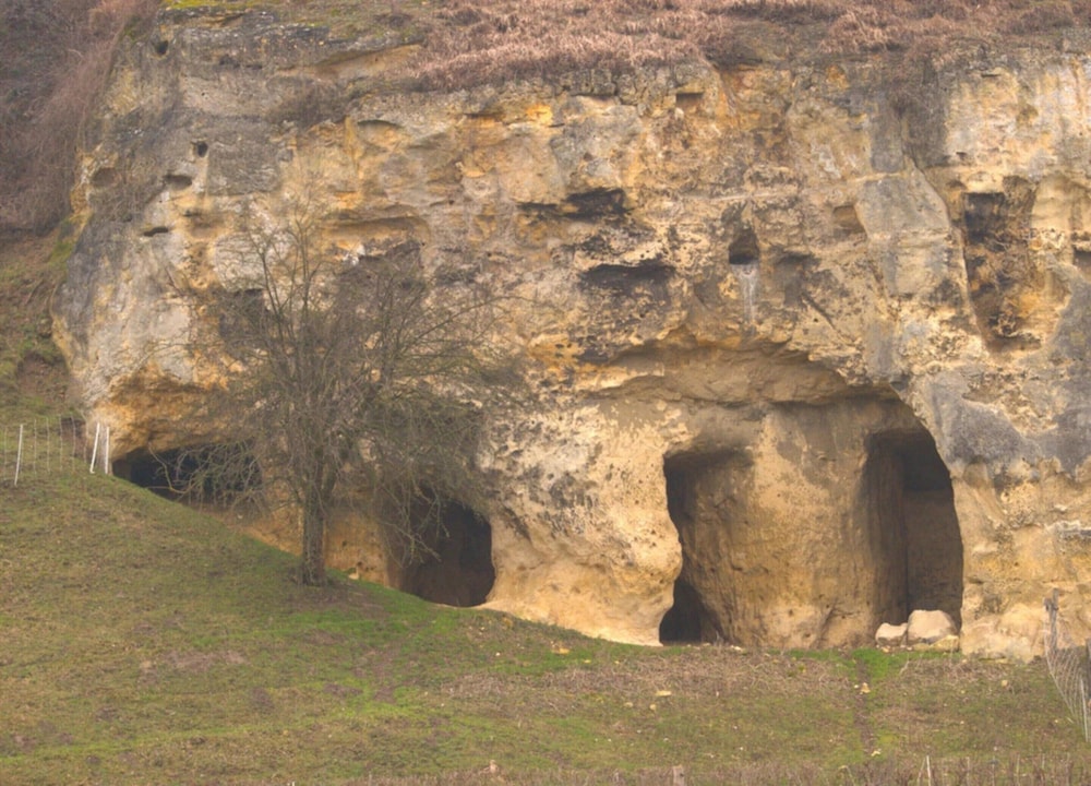 Holiday Home in Bemelen Near Nature Reserve
